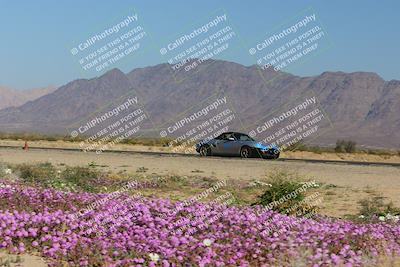 media/Jan-29-2023-PCA San Diego (Sun) [[aa0301ccc2]]/Yellow Group/Session 1 (Turn 15 Bloom)/